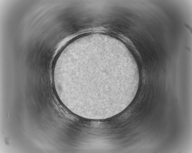 X0000102411176200808291501