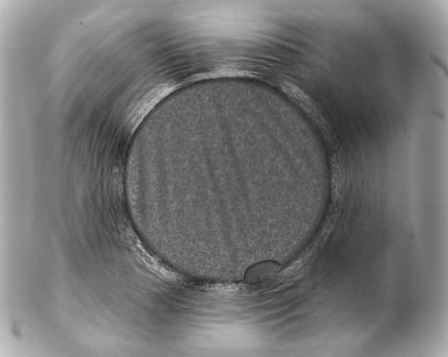 X0000102411177200808291501