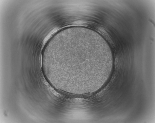 X0000102411180200808291501