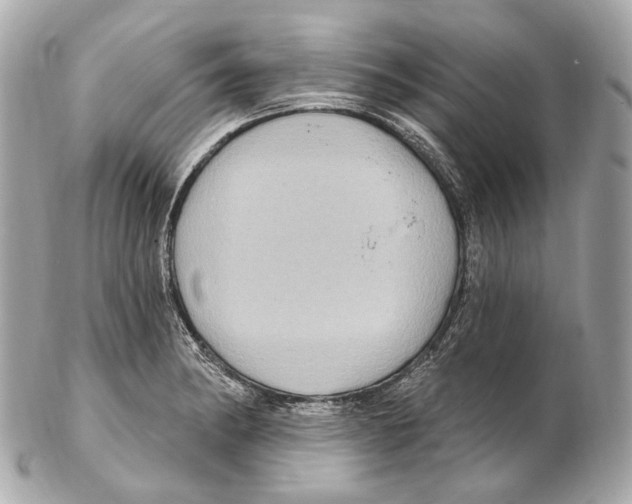 X0000102411182200808291501