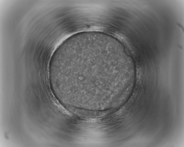 X0000102411184200808291501