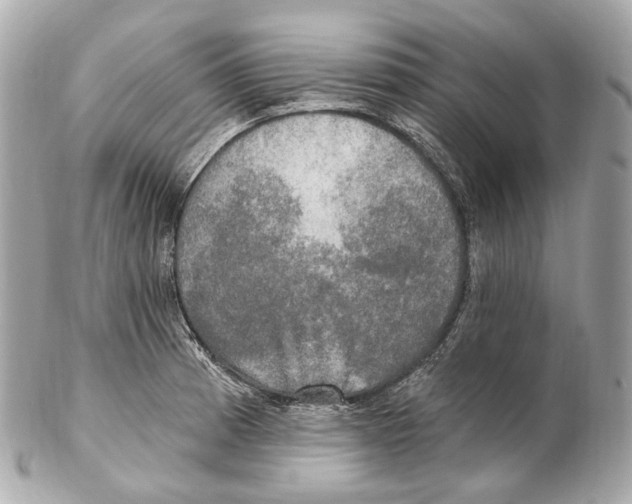 X0000102411185200808291501