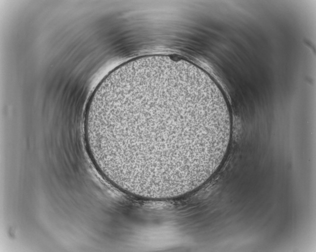 X0000102411187200808291501