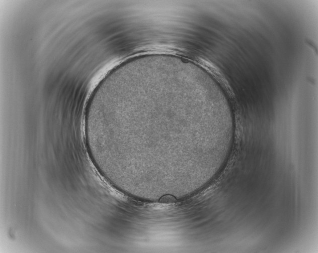 X0000102411188200808291501