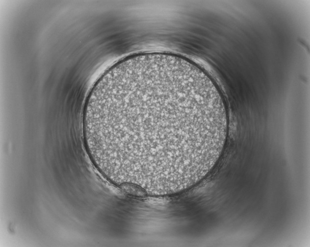 X0000102411191200808291501