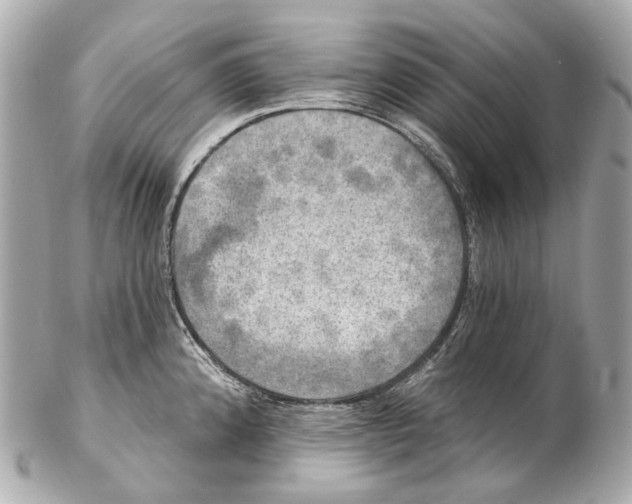 X0000102411192200808291501