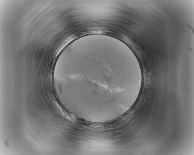 X0000102411194200808291501