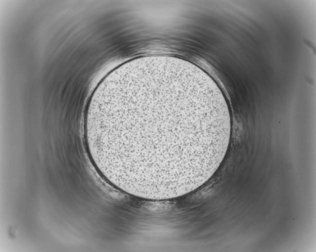 X0000102411195200808291501