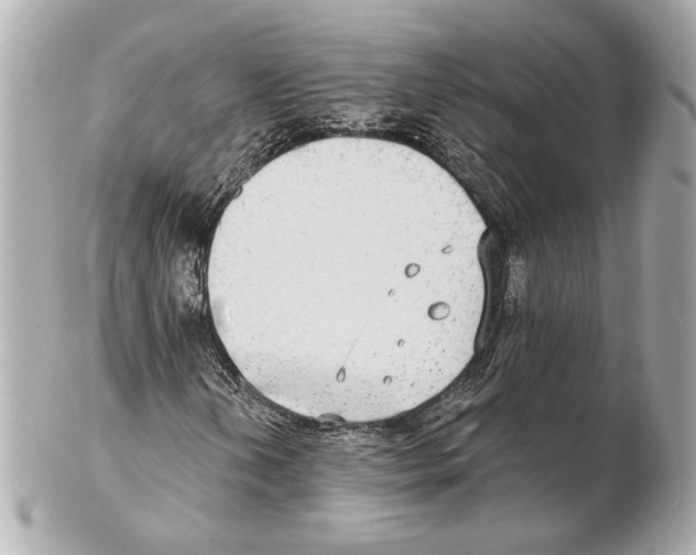 X0000102411202200808291500