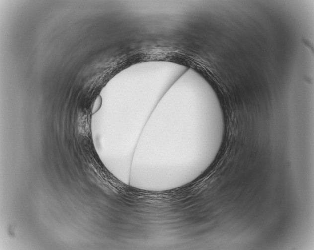 X0000102411204200808291500