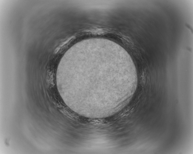 X0000102411205200808291500