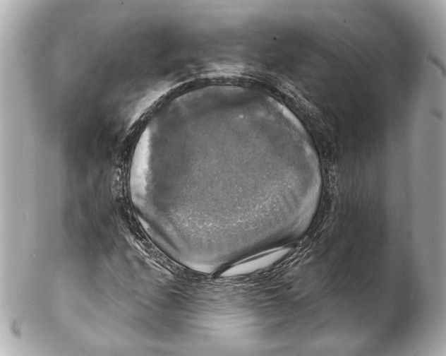 X0000102411208200808291500