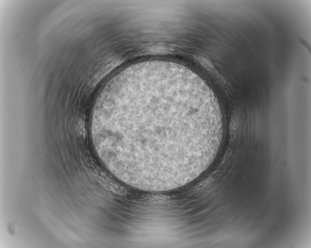 X0000102411209200808291500