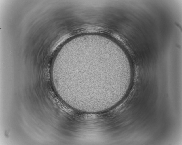 X0000102411211200808291500