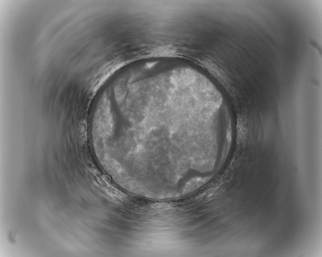 X0000102411212200808291500