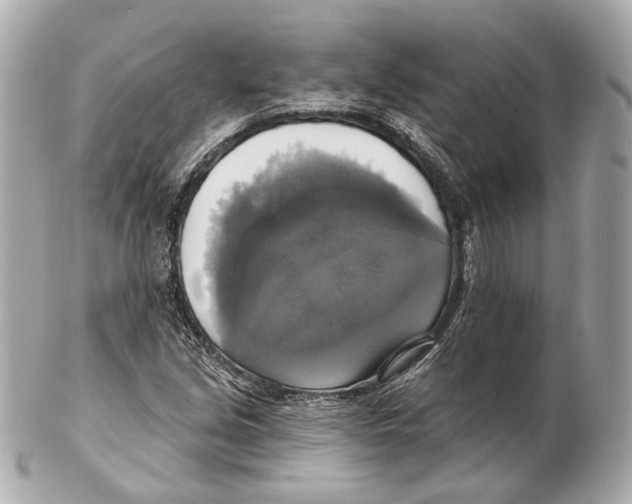 X0000102411213200808291500