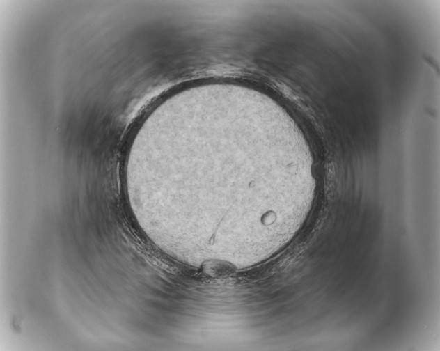 X0000102411214200808291500