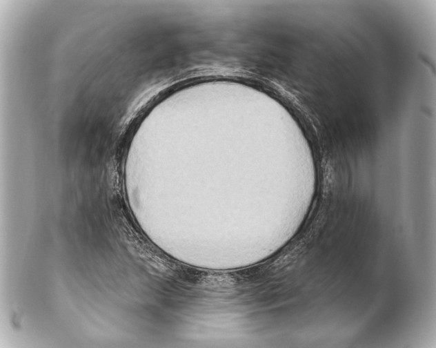 X0000102411215200808291500