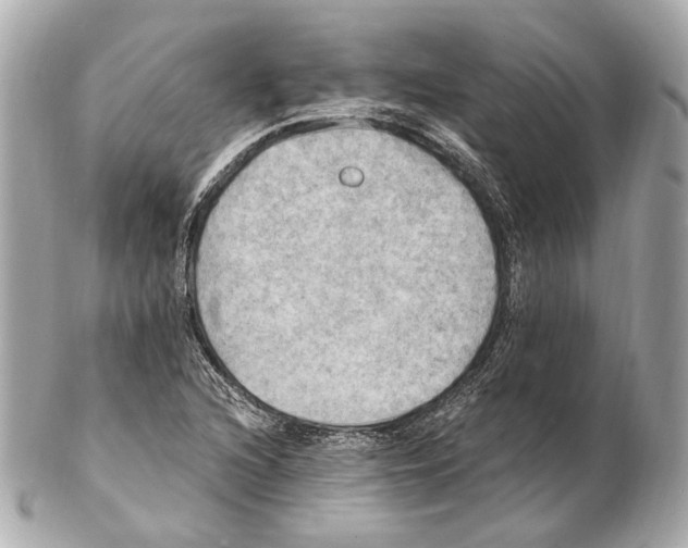 X0000102411216200808291500