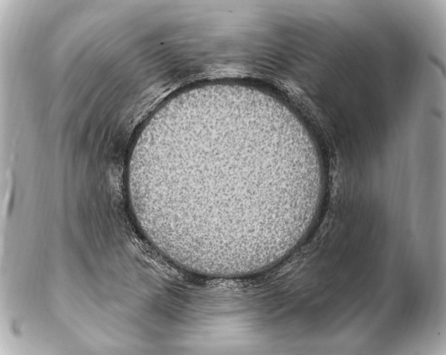 X0000102411217200808291500