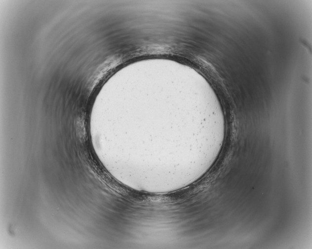 X0000102411218200808291500