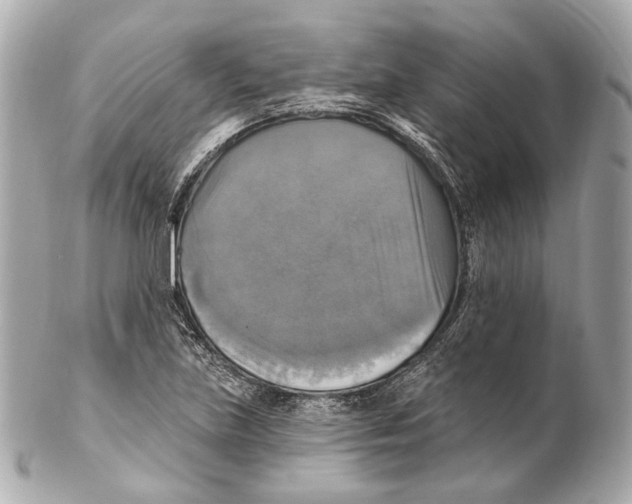 X0000102411219200808291500