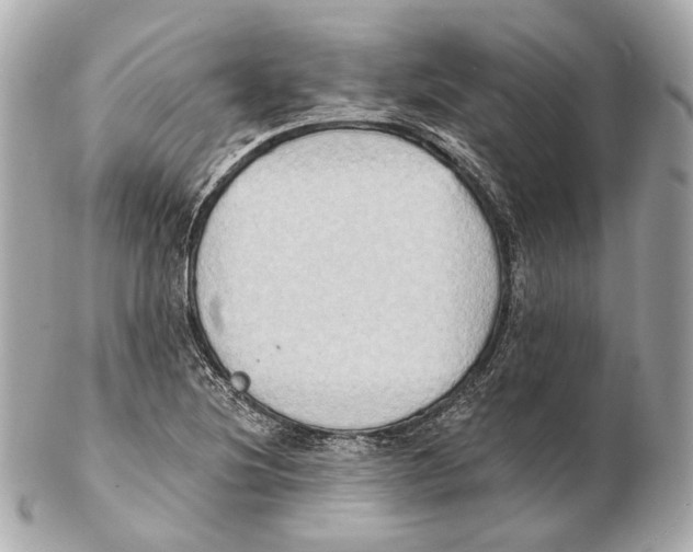 X0000102411220200808291500