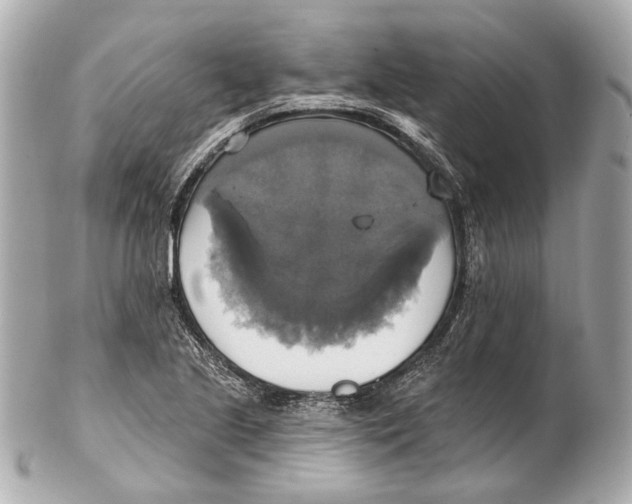 X0000102411221200808291500