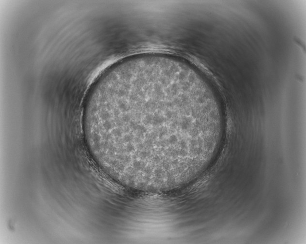 X0000102411222200808291500