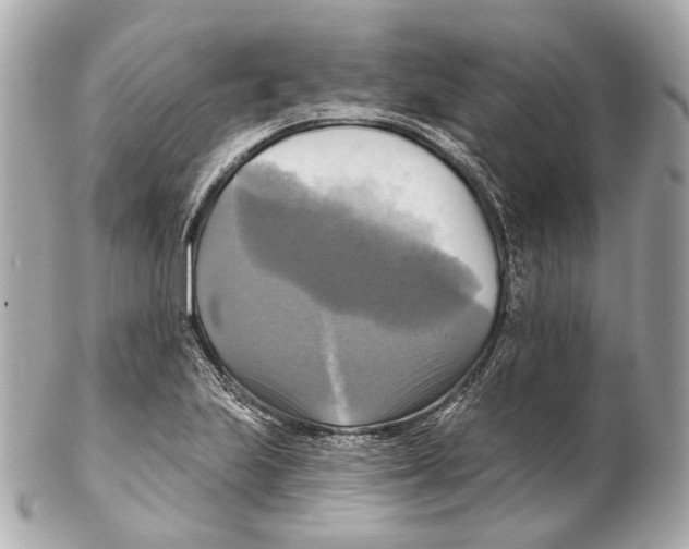 X0000102411223200808291500