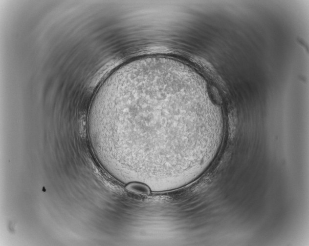 X0000102411225200808291500