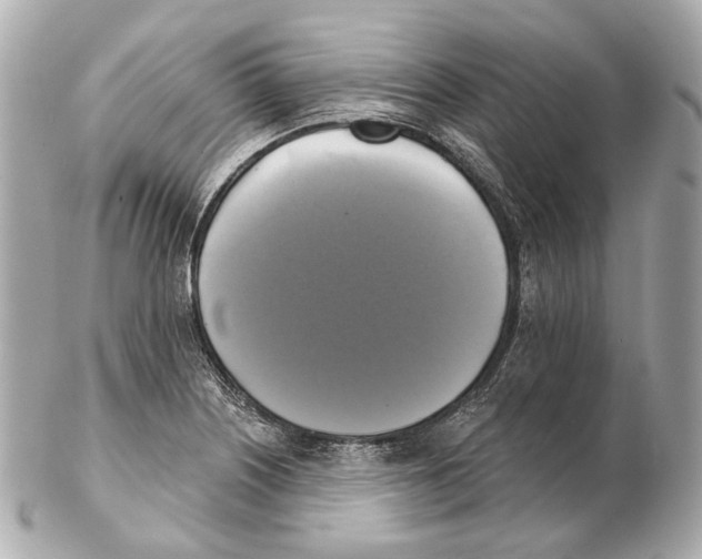 X0000102411226200808291500