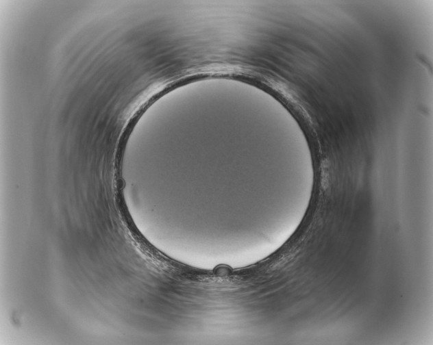 X0000102411229200808291500