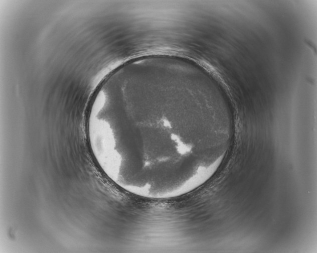 X0000102411230200808291500