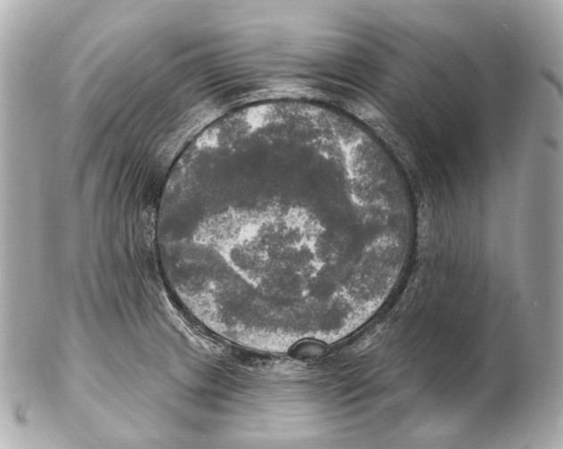 X0000102411233200808291500