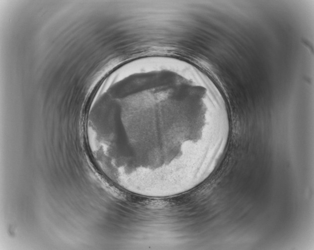 X0000102411235200808291500