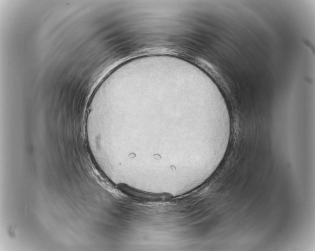 X0000102411236200808291500