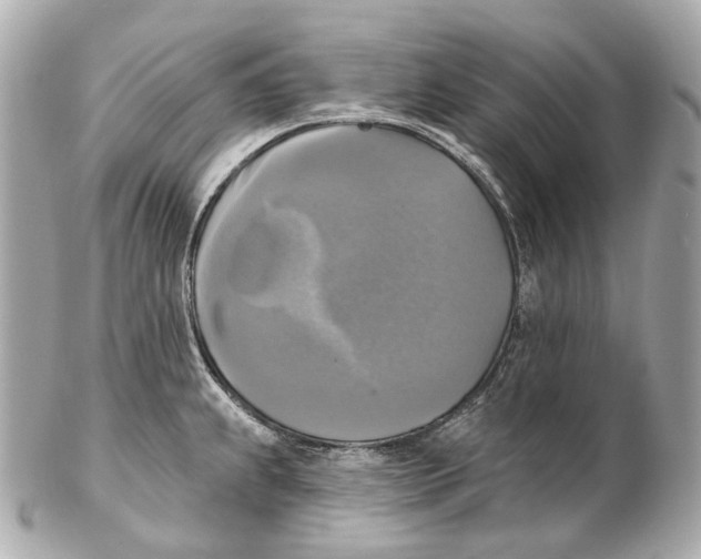 X0000102411239200808291500