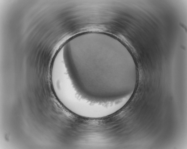 X0000102411240200808291500