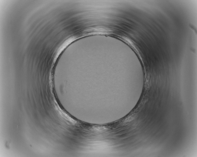 X0000102411243200808291501