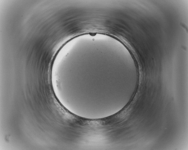 X0000102411246200808291501