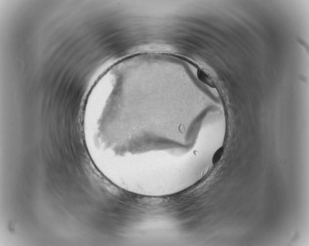 X0000102411248200808291501