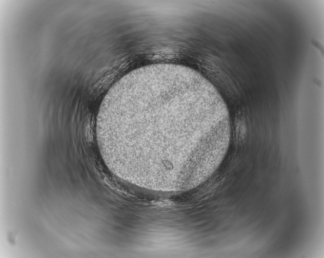 X0000102411250200808291500