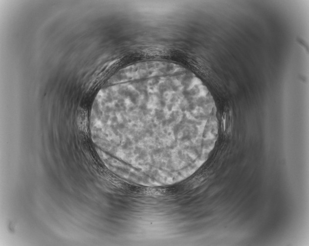 X0000102411251200808291500