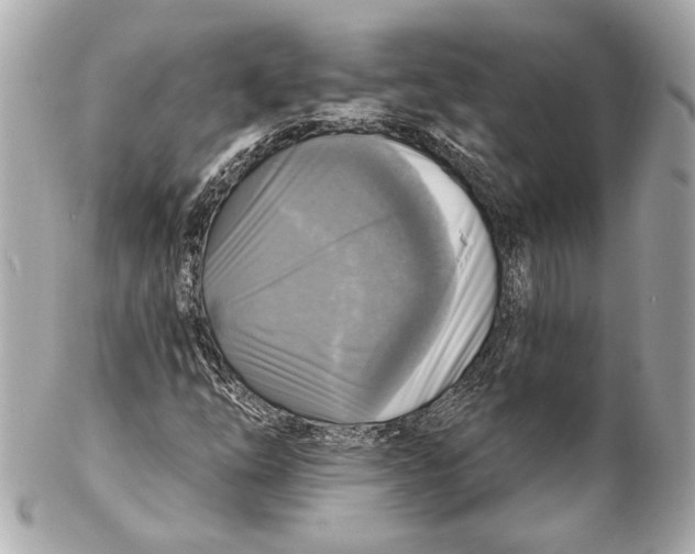 X0000102411254200808291500