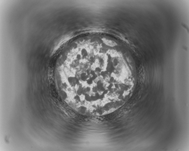 X0000102411255200808291500