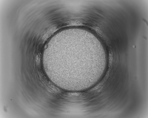 X0000102411257200808291500