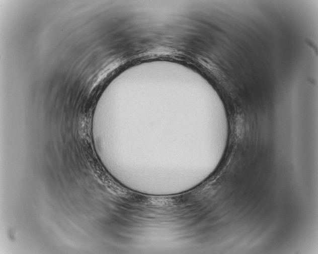 X0000102411258200808291500