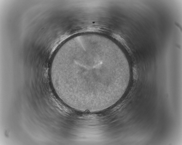 X0000102411260200808291500