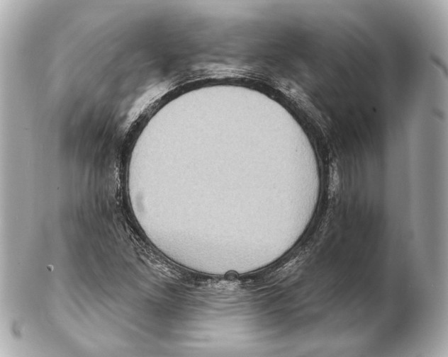 X0000102411261200808291500